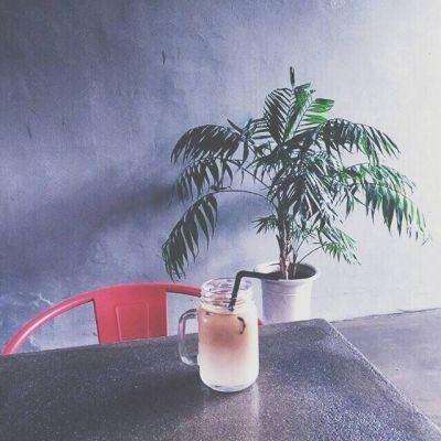 永恒仙境官方下载