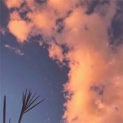 遥远之门手游下载