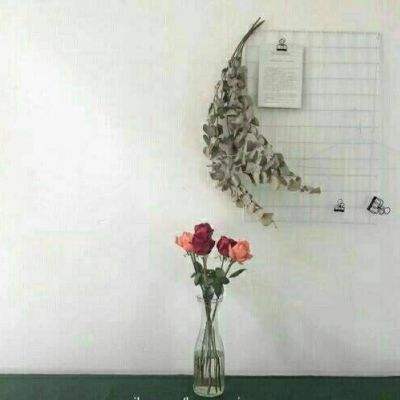 粉碎冲突最新版本下载