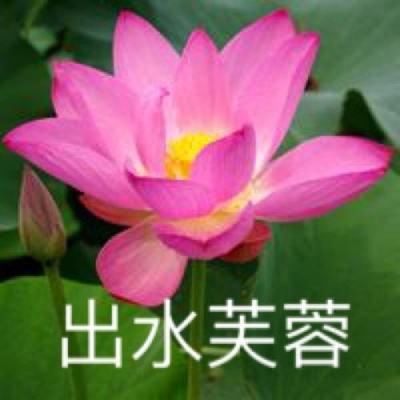 我的叶罗丽中文版下载